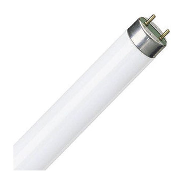 GE 21W Fluroescent tube, T5, 240V, Cool White, 600mm